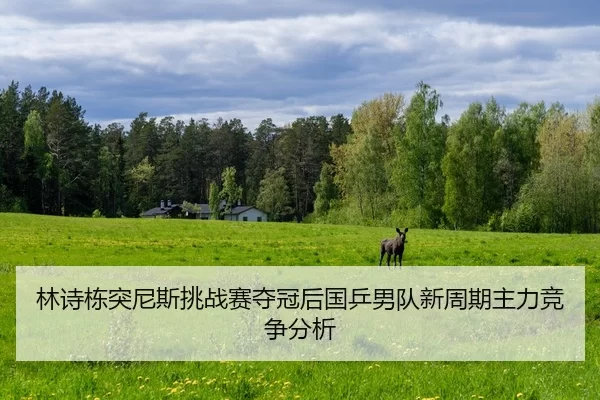 lin-shi-dong-tu-ni-si-tiao-zhan-sai-duo-guan-hou-guo-ping-nan-dui-xin-zhou-qi-zhu-li-jing-zheng-fen-xi-2-962.jpg